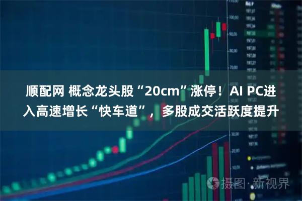 顺配网 概念龙头股“20cm”涨停！AI PC进入高速增长“快车道”，多股成交活跃度提升