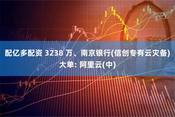 配亿多配资 3238 万、南京银行(信创专有云灾备)大单: 阿里云(中)