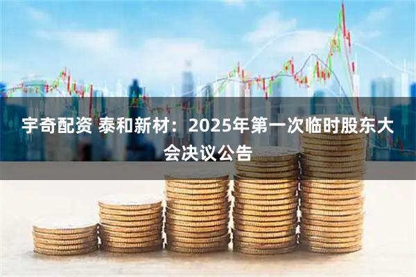 宇奇配资 泰和新材：2025年第一次临时股东大会决议公告
