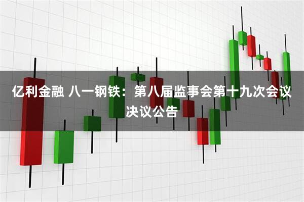 亿利金融 八一钢铁：第八届监事会第十九次会议决议公告