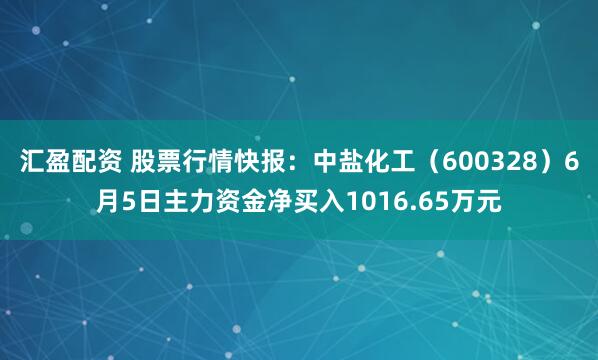 汇盈配资 股票行情快报：中盐化工（600328）6月5日主力资金净买入1016.65万元