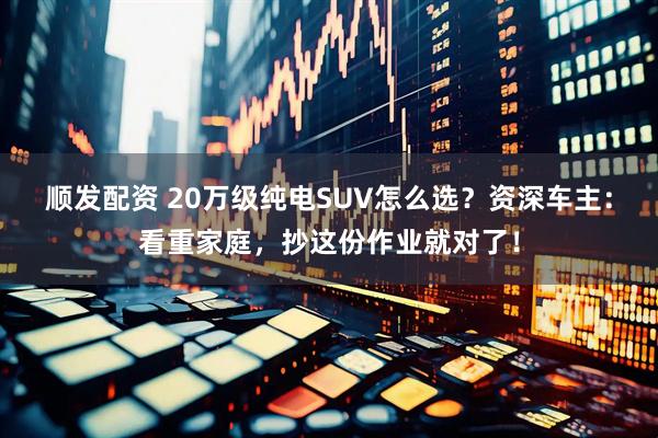 顺发配资 20万级纯电SUV怎么选？资深车主：看重家庭，抄这份作业就对了！